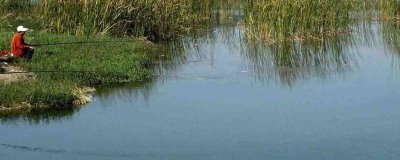 黑漂提竿不中魚如何處理，魚口太滑可換成小鉤細(xì)線降低其警惕性