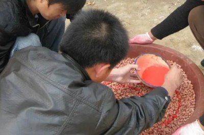種衣劑的使用注意事項(xiàng)，使用過程中一定要嚴(yán)格執(zhí)行操作規(guī)程