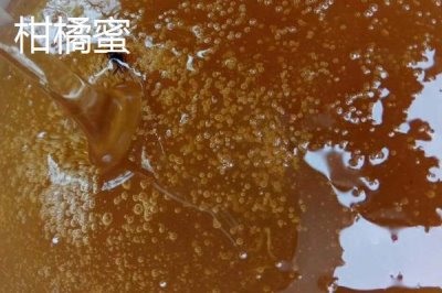 棗花蜜和柑橘蜜的區(qū)別，后者價格略貴一些