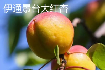 吉林省伊通滿族自治縣的特產(chǎn)，伊通大米在國內(nèi)具有較高的知名度