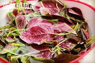 夏至吃哪些食物,推薦夏至蛋、熱面等
