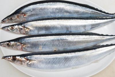 青島刀魚的價格，市場上賣的刀魚都是死的