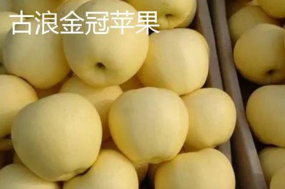 甘肅省武威市的水果特產(chǎn)，涼州皇冠梨栽植歷史悠久