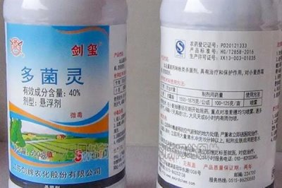 多菌靈可以治黑腐病嗎，多菌靈可以治黑腐病