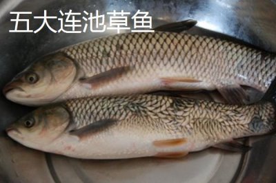 黑龍江五大連池市的特產(chǎn)，連池鴨蛋適合饋贈(zèng)親友