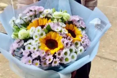 小雛菊的花語(yǔ)，寓意永遠(yuǎn)的快樂(lè)、深沉的愛(ài)意等