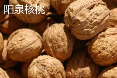 山西陽泉的特產(chǎn)，連翹茶是當(dāng)?shù)氐奶厣璺N