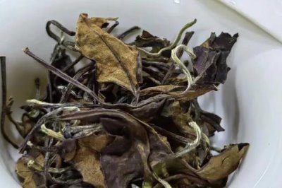 白茶的產(chǎn)地，不同品種的產(chǎn)地不一