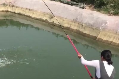釣鰱魚(yú)的技巧，釣點(diǎn)要選擇溶氧量高的水域