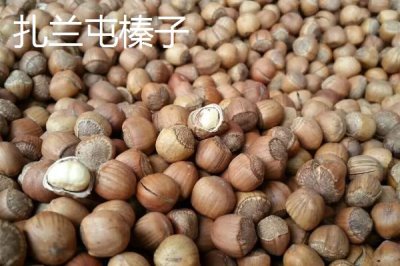 扎蘭屯市的特產(chǎn)，扎蘭屯沙果遠(yuǎn)近聞名