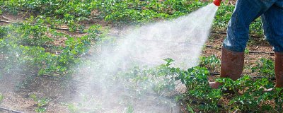 瀏陽霉素的使用方法，針對不同的蟲害的防治方法不同