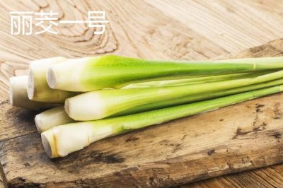 種植茭白的環(huán)境要求，溫度要達到24℃左右