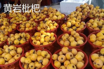 浙江省諸暨市的特產(chǎn)，同山燒被譽為“江南小茅臺”