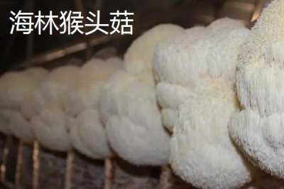 黑龍江佳木斯市的特產(chǎn)，包括力佳風(fēng)干腸、抱馬子茶葉筒等種類