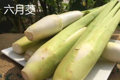 種植茭白的環(huán)境要求，溫度要達到24℃左右