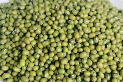 綠豆的形態(tài)特征，豆莢呈線狀圓柱形、種子呈短圓柱形