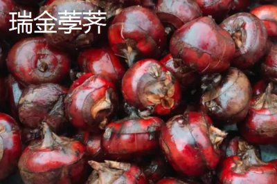 江西省瑞金市的特產(chǎn)，肉圓魚(yú)丸別有風(fēng)味