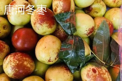 河南唐河縣的特產(chǎn)，梔子品質(zhì)上乘