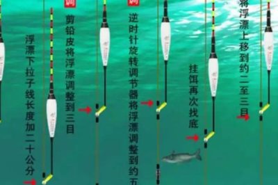 何時(shí)用紅蟲(chóng)釣魚(yú)比較好，適合在早春、深秋、冬季使用