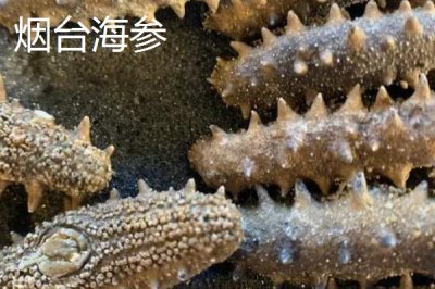 山東省臨清市的特產(chǎn)，臨清醬牛蹄、濟(jì)美醬菜、拖板豆腐均為傳統(tǒng)名吃