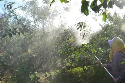 生物農藥的簡介，是指利用生物活體或代謝產物去殺滅、抑制有害生物的制劑