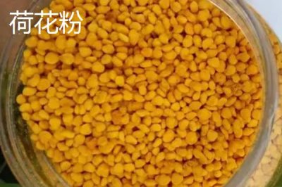 蜂花粉的種類，粉源均來自不同花卉