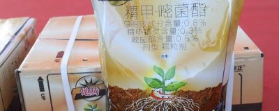精甲嘧菌酯能不能灌根，精甲嘧菌酯能灌根