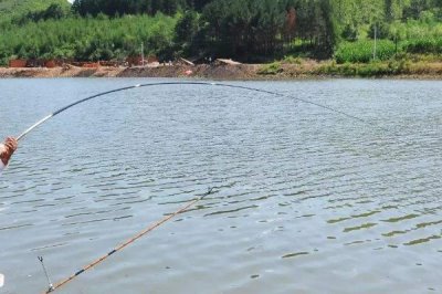 春季水庫釣魚怎么挑選釣位，水草區(qū)是魚兒的藏身場所