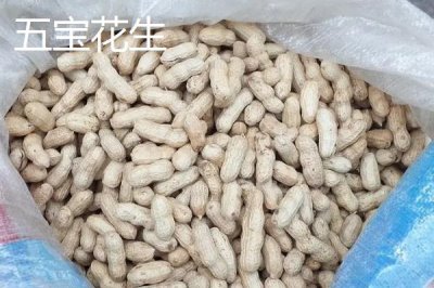 四川省自貢市的特產(chǎn)，榮縣油茶榮獲國(guó)家地理標(biāo)志證明商標(biāo)