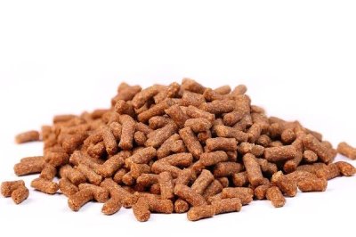 魚的飼料怎么選，可選擇顆粒飼料或薄片飼料