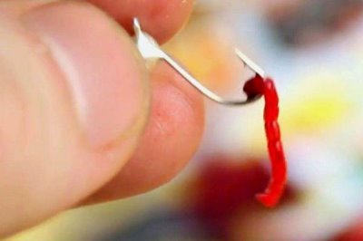 何時(shí)用紅蟲(chóng)釣魚(yú)比較好，適合在早春、深秋、冬季使用
