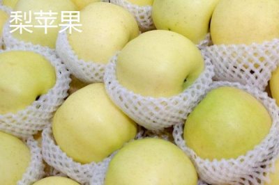 蘋果梨的產(chǎn)地，多分布于東北、華北和西北