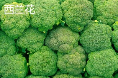 七月份適合種什么農(nóng)作物，正處于炎熱季節(jié)