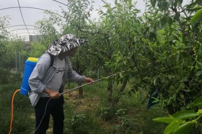 唑醚代森聯(lián)可以與磷酸二氫鉀混用嗎，混合使用沒問題