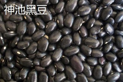 山西省渾源縣的特產(chǎn)，包括恒山黃芪、渾源燒酒、北芪菇等種類