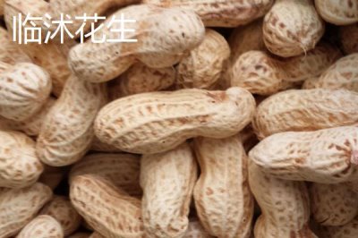 山東省臨沭縣的特產(chǎn)，臨沐太子參在東南亞市場享有盛譽(yù)