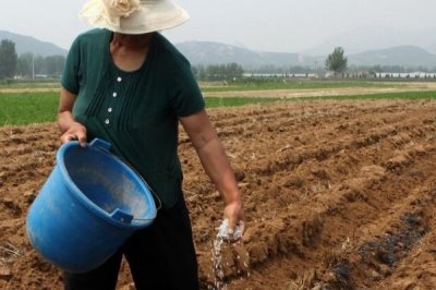 鈣鎂磷肥的使用方法，適合于作基肥深施