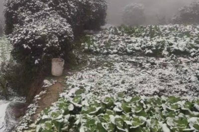 養(yǎng)殖遇到雪災(zāi)如何處理，可保留受災(zāi)證據(jù)、上報(bào)政府應(yīng)急部門