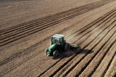 玉米種子播種前注意事項(xiàng)，不可在同一地塊連續(xù)種植