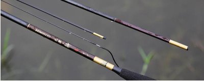 5H魚竿能釣多重的魚，主要取決于魚竿和線組