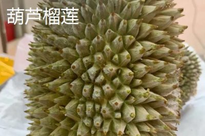 榴蓮如何防止氧化，可放入冰箱冷凍保存
