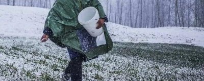 南北地區(qū)小寒差異，南方要做追肥等農(nóng)活、北方通常已經(jīng)歇冬