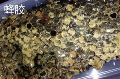蜂產(chǎn)品之間的區(qū)別，來源各不相同