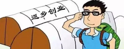 湖北農(nóng)村種什么比較賺錢，種植秋葵的收益比較可觀