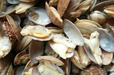 已經(jīng)死亡的花甲能否食用，花甲死亡后會滋生細菌不宜食用