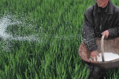 提高氮肥肥效的方法，深施于土層8-15厘米深度為宜
