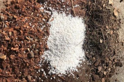 使用多菌靈要注意什么，蔬菜收獲前5天需停用