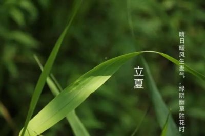 立夏是夏天的開始嗎，從氣候角度來看并沒有到夏天