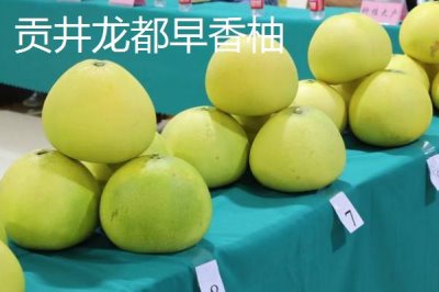 四川省自貢市的特產(chǎn)，榮縣油茶榮獲國(guó)家地理標(biāo)志證明商標(biāo)