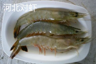 河北秦皇島有哪些特產(chǎn)，昌黎葡萄暢銷全國各地